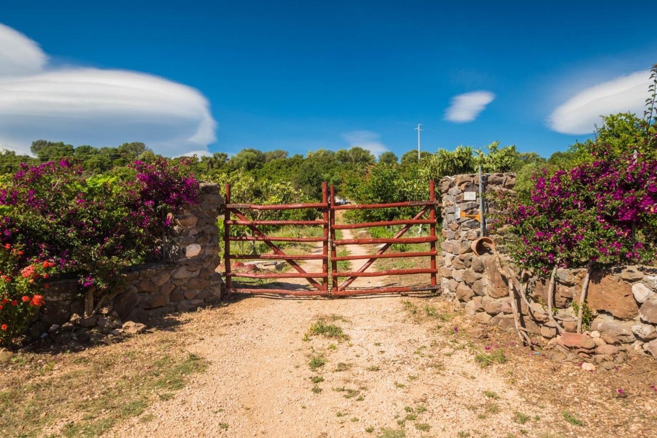 Sa Tanca 'E Pedduzza Villa Orosei Exteriör bild