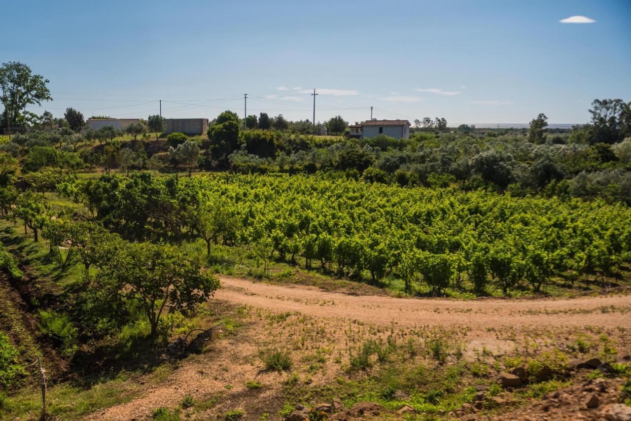 Sa Tanca 'E Pedduzza Villa Orosei Exteriör bild