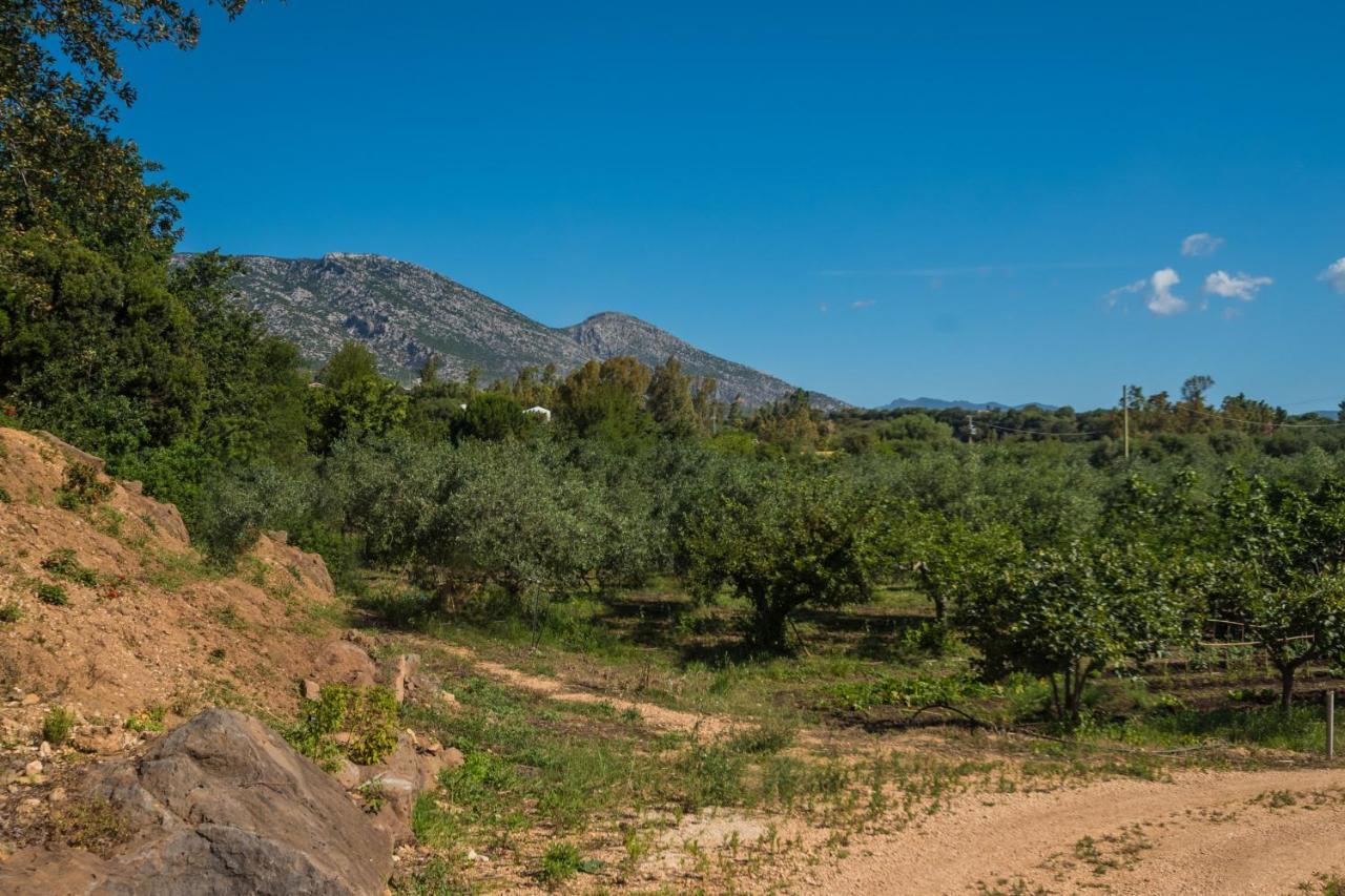 Sa Tanca 'E Pedduzza Villa Orosei Exteriör bild